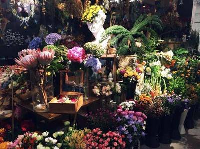 開一個樊文花店一年能賺多少？揭秘創業秘籍與機械設備關鍵作用