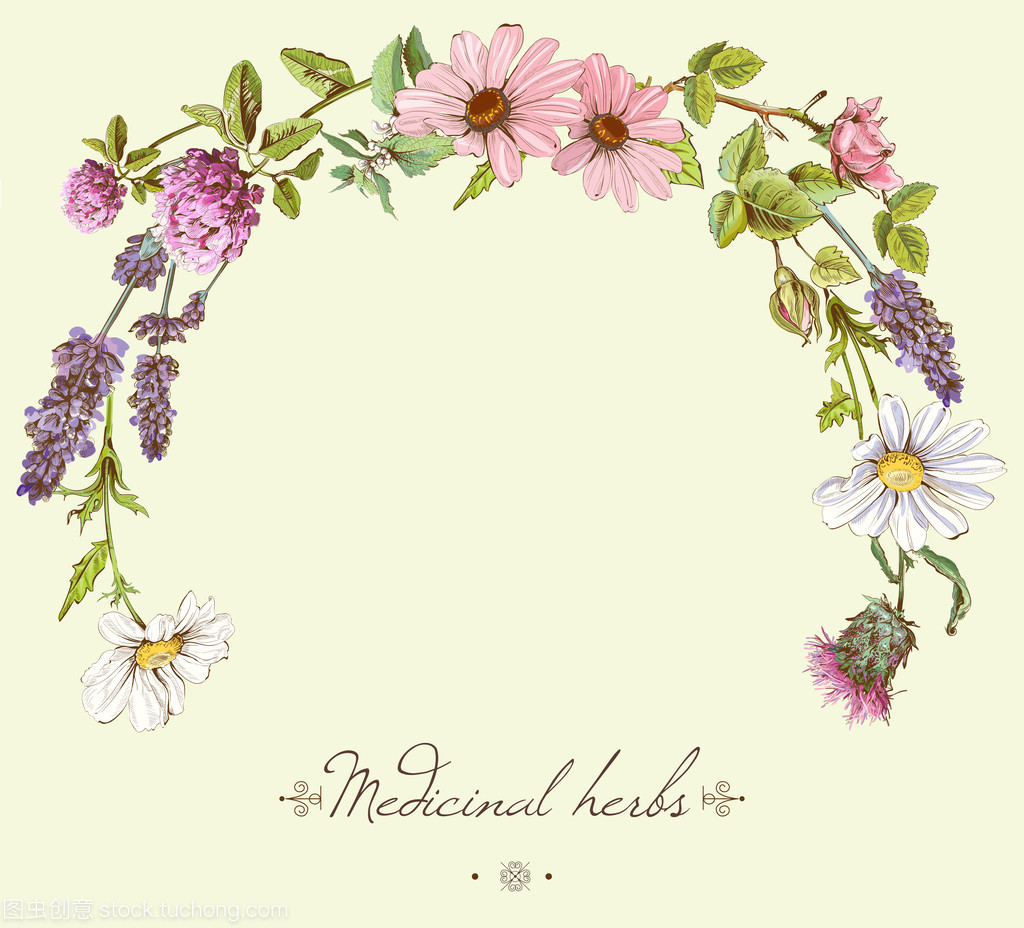 草藥機械圓篩 傳統與現代的完美融合